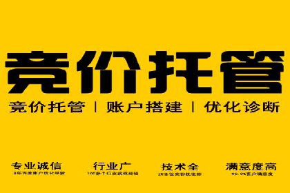 低成本高效益：百度竞价广告实战案例解析